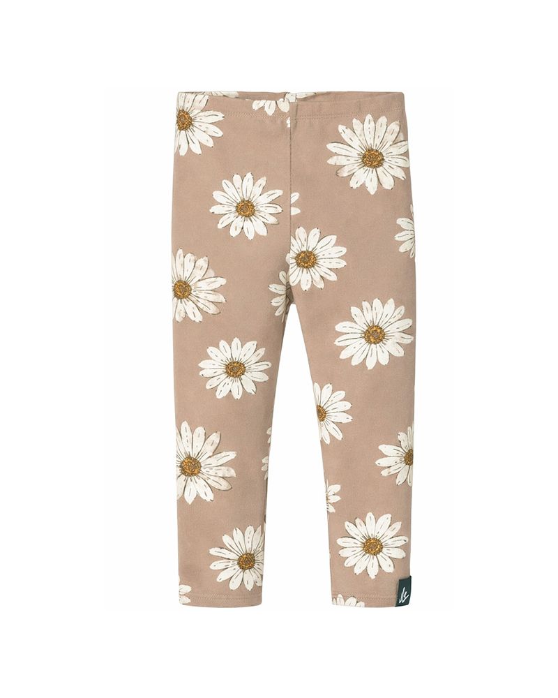 Legging daisies